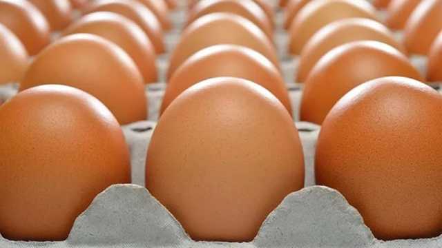 ¿Se puede consumir huevo todos los días?. (Foto: Envato)