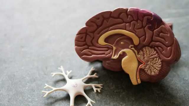 Lo último en investigación: ¿Es posible la transmisión del Alzheimer?